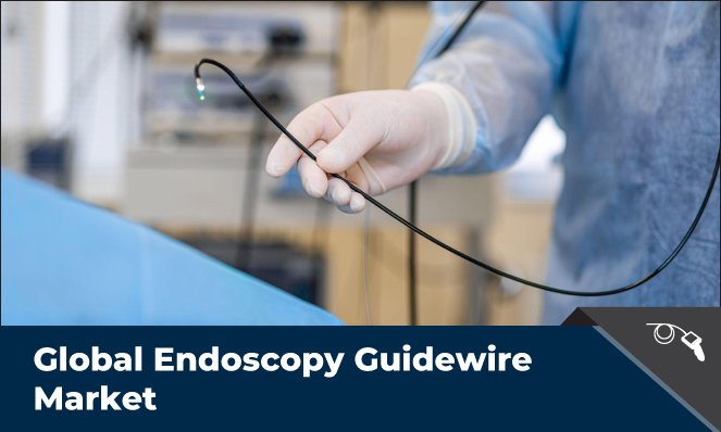 Endoscopy Guidewire Market - Inkwood Research