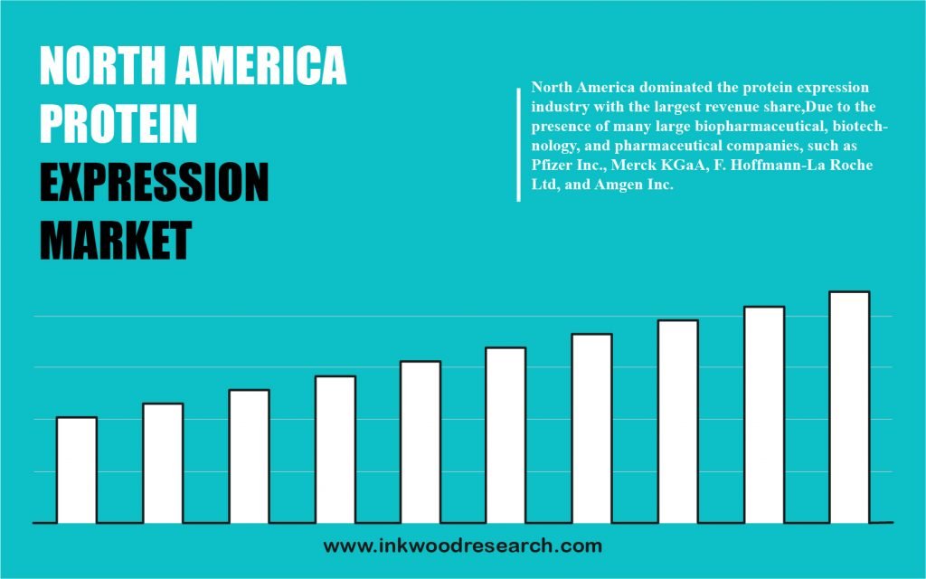 North America Protein Expression Market