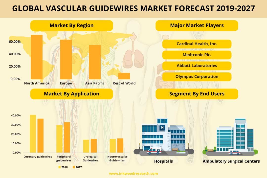 Vascular Guidewires Market