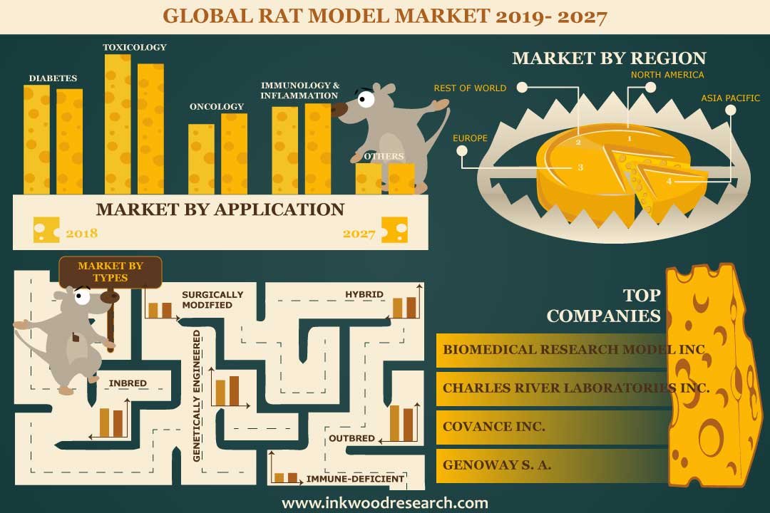 Rat Model Market