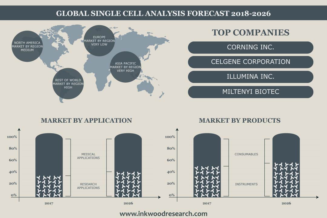 Single Cell Analysis Market