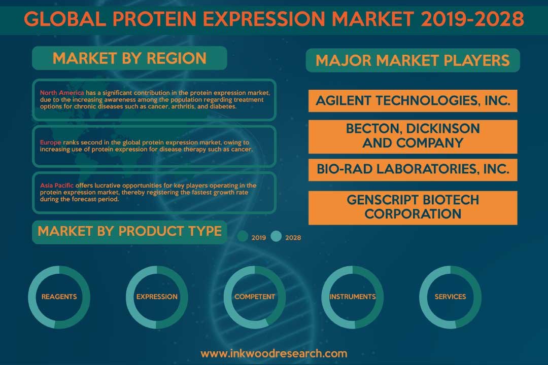 Protein Expression Market
