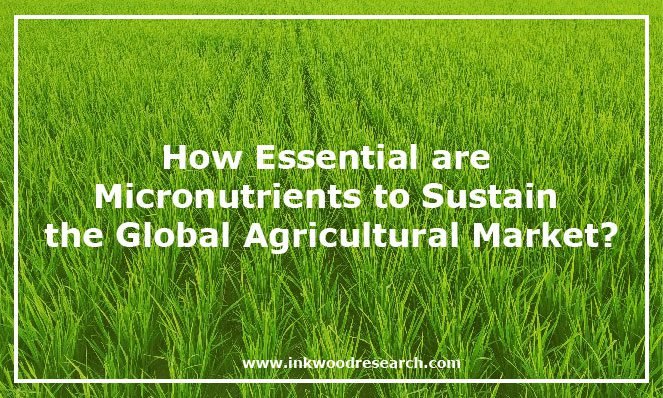 Micronutrients-to-Sustain-Global-Agricultural