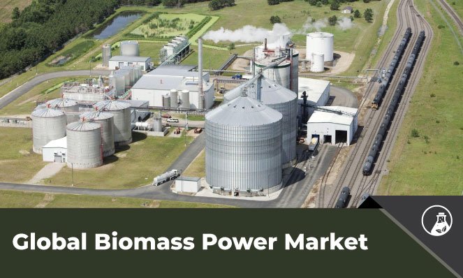 Biomass Power Market - Inkwood Research