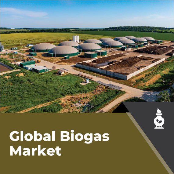 Global Biogas Market: Top 3 Applications